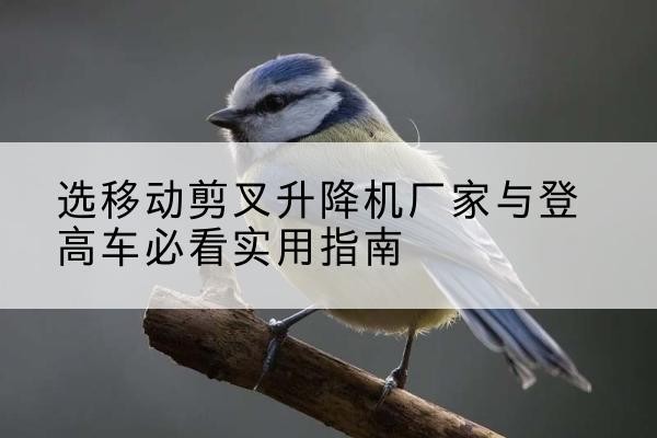 平鲁电动升降机厂家-选移动剪叉升降机厂家与登高车必看实用指南