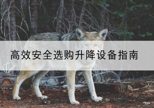 平鲁升降货梯厂家推荐-*安全选购升降设备指南
